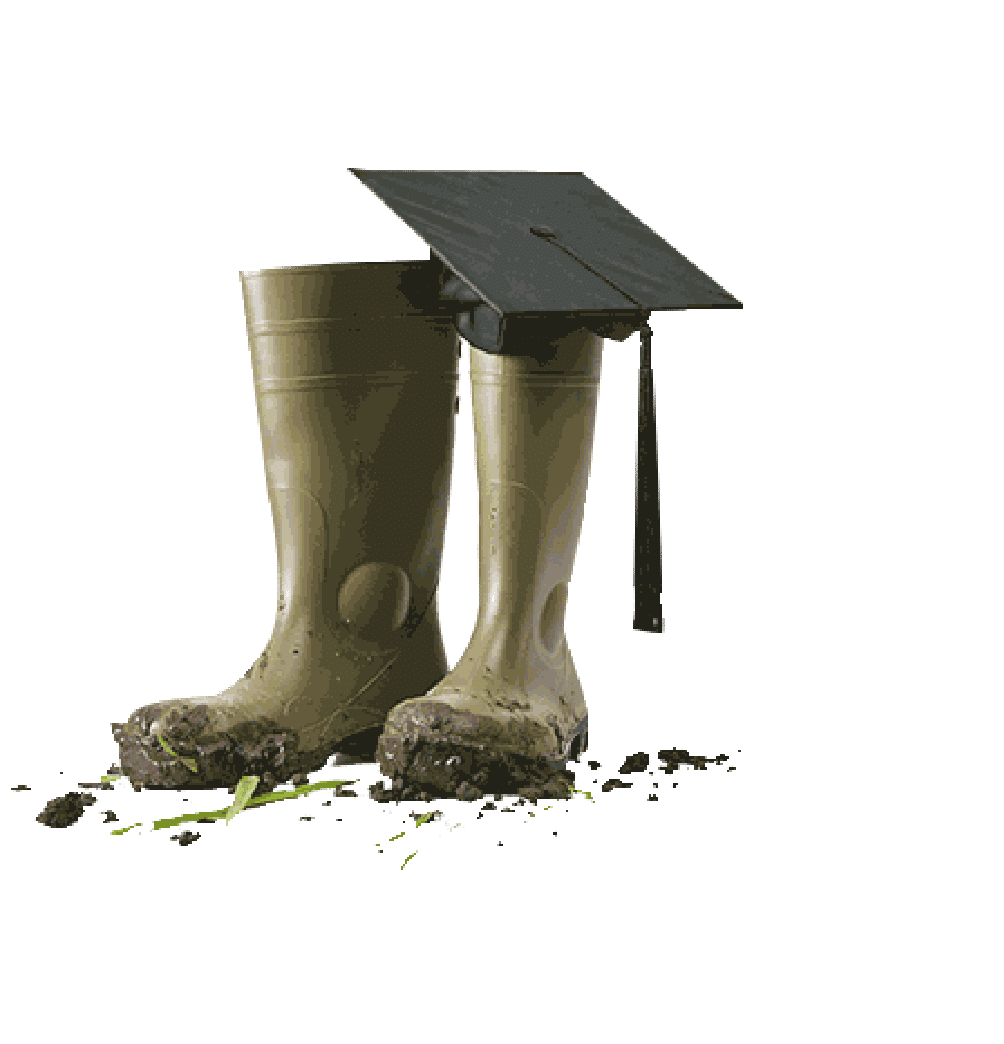 Agrarhochschulranking Siegel