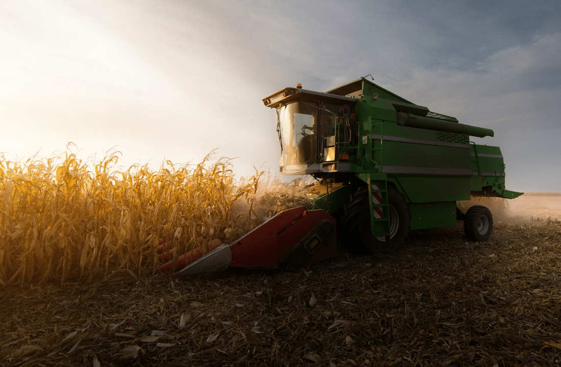 Die Ernte ist in Gefahr – gemeinsam stark für unsere Landwirtschaft