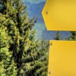 Wie finde ich heraus welcher agrar Job zu mir passt? – Auf dem Weg zum Traumjob