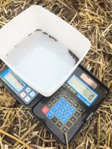 Auslandspraktikum Agrar