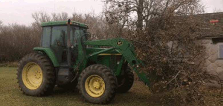 Ernte Auslandspraktikum Agrar