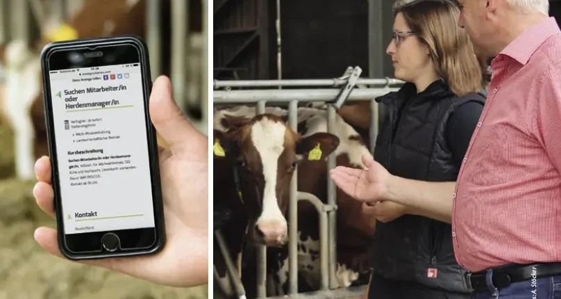 Mitarbeiter finden grüne Branche