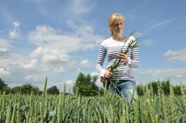Grüne Jobs – Pflanzentechnologe/-in