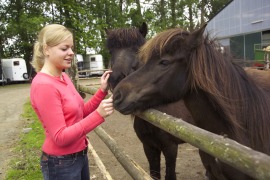 Grüne Berufe – Pferdewirt