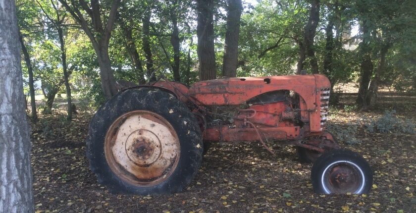 Alter Trecker - Auslandstagebuch Agrarwissenschaften - Kanada