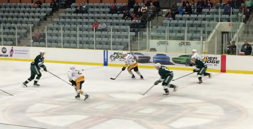 Eishockey - Auslandstagebuch Agrarwissenschaften - Kanada