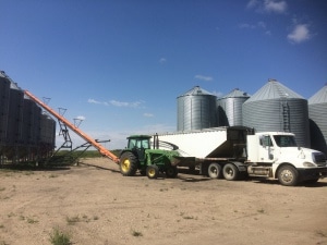 Umlagern der alten Ernte