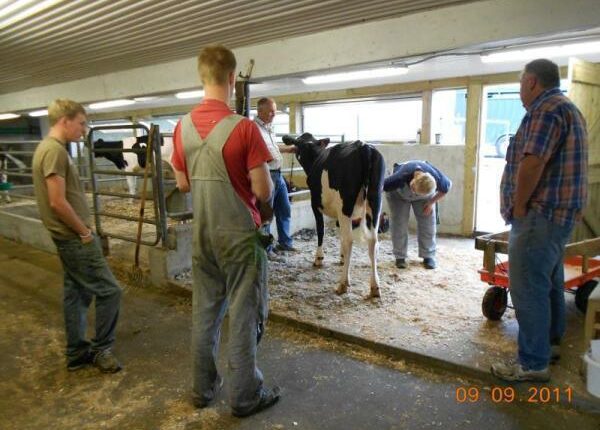 Übernahme eines vernachlässigten Milchbetriebs - Auslandstagebuch Agrarwissenschaften - Kanada