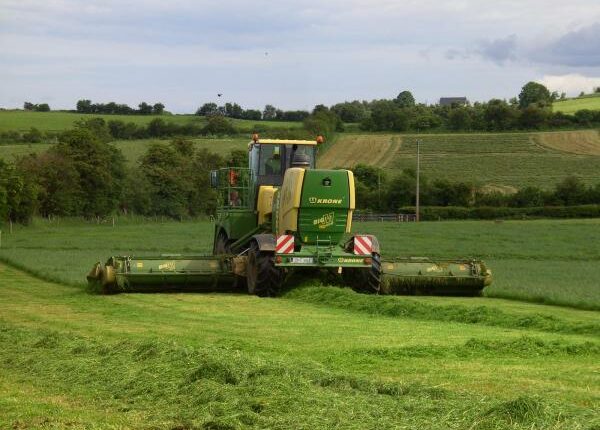 Grasschnitt - Auslandstagebuch Agrarwissenschaften - Irland