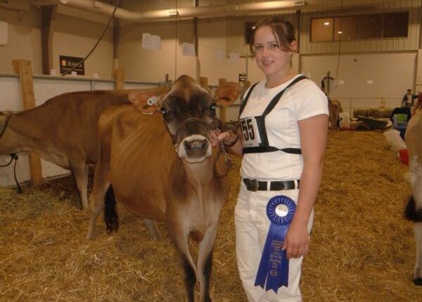 Holstein Show - Auslandstagebuch Agrarwissenschaften - Kanada