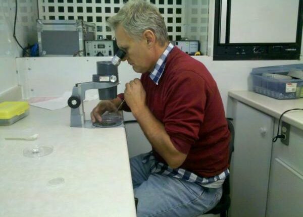 Embryonen ausspülen - Auslandstagebuch Agrarwissenschaften - Kanada