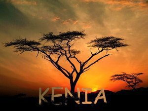 Kenia - Auslandstagebuch Agrarwissenschaften - Afrika