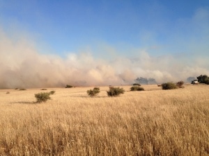 Feldbrand - Auslandstagebuch Agrarwissenschaften - Australien