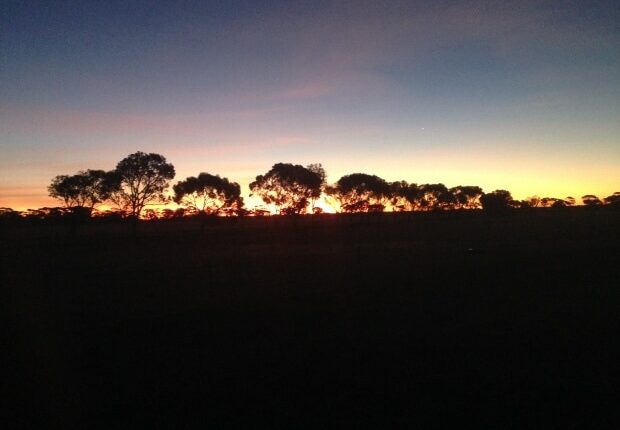 Sonnenaufgang - Auslandstagebuch Agrarwissenschaften - Australien