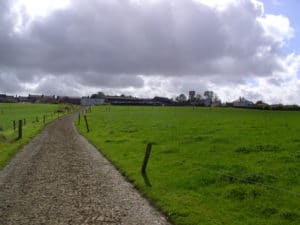 Blick auf die Farm - Auslandstagebuch Agrarwissenschaften - Irland