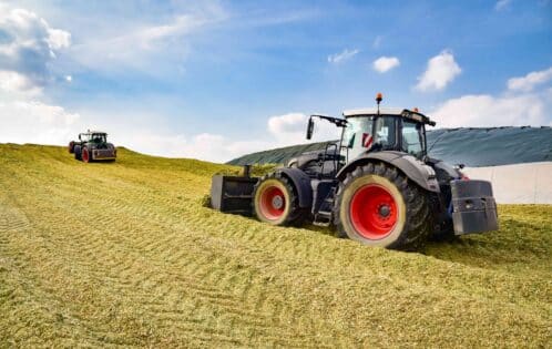 Grüne Berufe – Entdecke die Vielfalt an Ausbildungen und Studiengängen in der Landwirtschaft und im Agribusiness-Für Arbeitnehmer