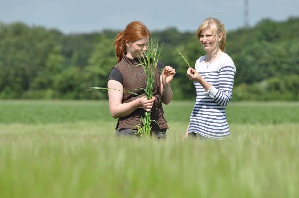 Landwirt Pflanzenbau