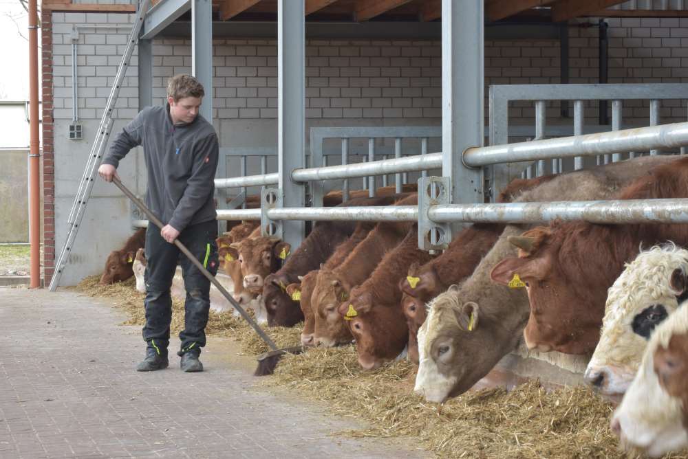 Landwirt Rinderhaltung