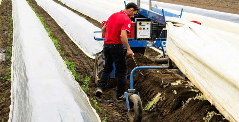 Erntehelfer und Saisonarbeitrskräfte - kurzfristige Beschäftigung oder Minijob - Prüfung der Berufsmäßigkeit