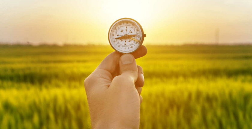 Konzern, Start-up, Kammer oder Mittelstand – Wohin soll die Reise gehen?