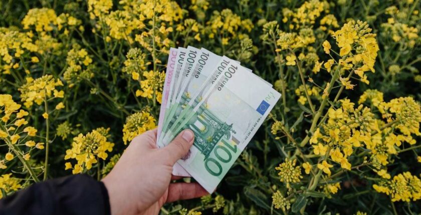 Gehaltsverhandlung Berufserfahrene Landwirtschaft und Agribusiness