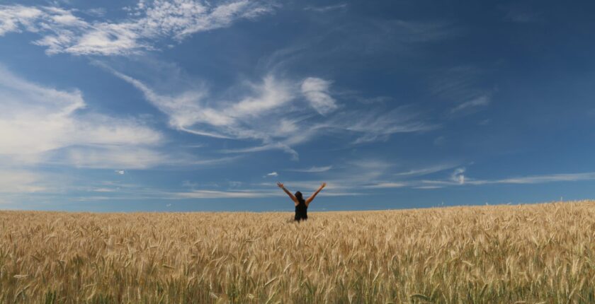 Erfolgsfaktoren in der Landwirtschaft