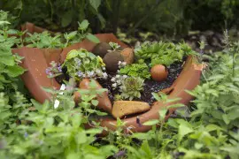 Grüne Berufe Gärtner