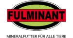 Fulminant GmbH