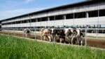 Fachberater im Außendienst (m/w/d)-