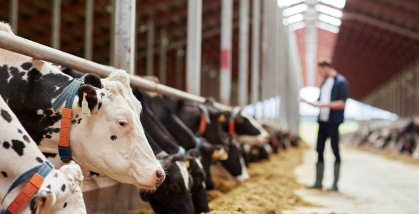 Work-Life-Balance im landwirtschaftlichen Sektor