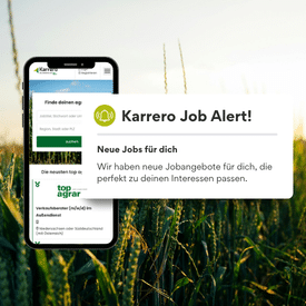 Post Footer – Bewerber Kacheln