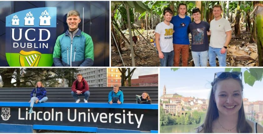 Auslandssemester: Vier Studierende berichten über ihre Erfahrungen im internationalen Agrarstudium