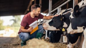 Was macht ein Herdenmanager?