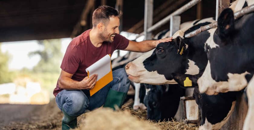 Was macht ein Herdenmanager?