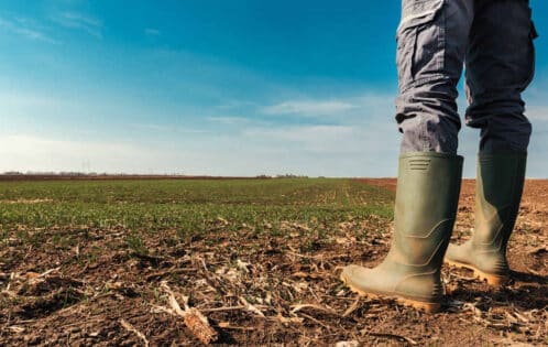 Landwirt in Gummistiefeln auf dem Feld