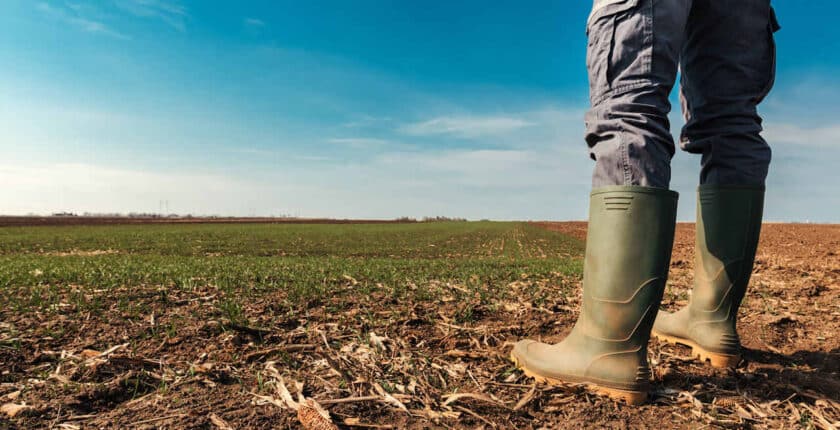 Landwirt in Gummistiefeln auf dem Feld