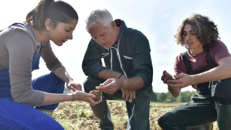 Auszubildende Landwirtschaft
