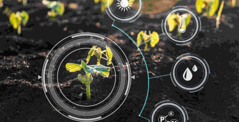 Automatisch gespeicherter Entwurf