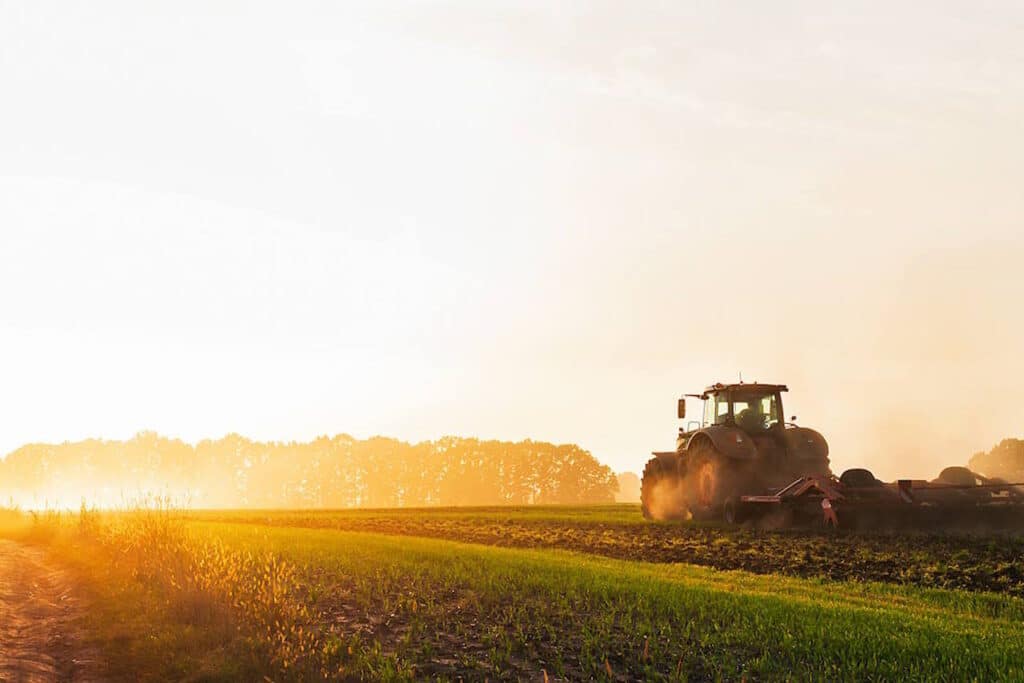 Landwirtschaft studieren: Agrar-Studiengänge im Überblick