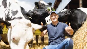 Mann im Kuhstall