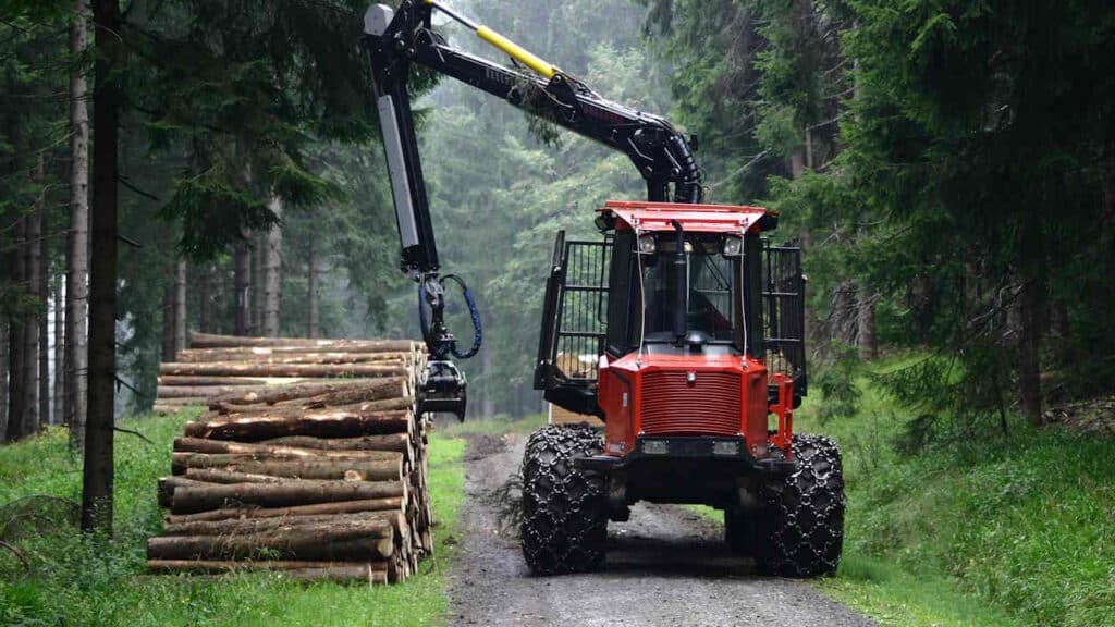 Holzarbeiten im Wald