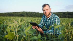 Ein Landwirt inspiziert grüne Sojabohnen, die auf einem Feld wachsen.