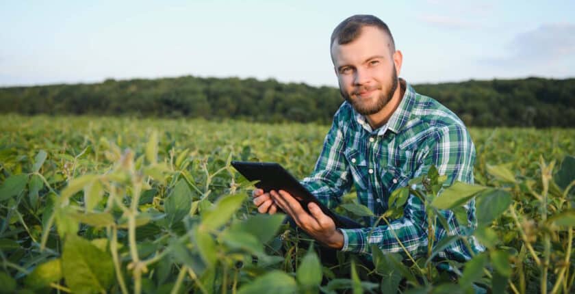 Ein Landwirt inspiziert grüne Sojabohnen, die auf einem Feld wachsen.