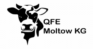 QFE-Moltow KG