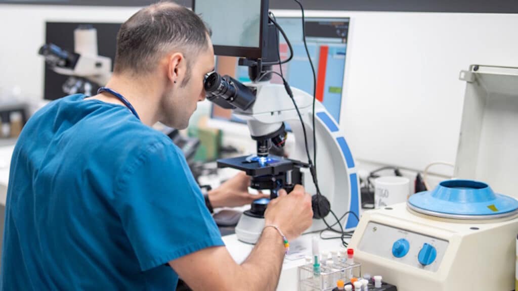 Veterinärmedizinisch-technischer Assistent analysiert Proben unter dem Mikroskop in einem Labor