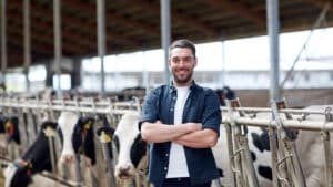 Landwirtschaftsmeister im Kuhstall bei der Arbeit