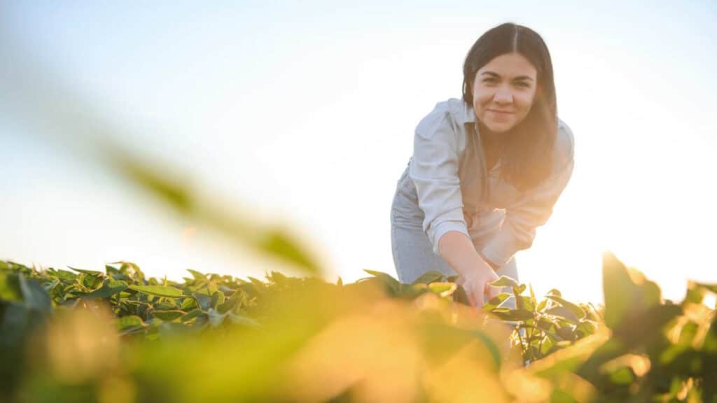 Agronomin untersucht grüne Sojapflanzen auf dem Feld.