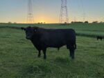 Landwirtschaftlicher Mitarbeiter (m/w/d)