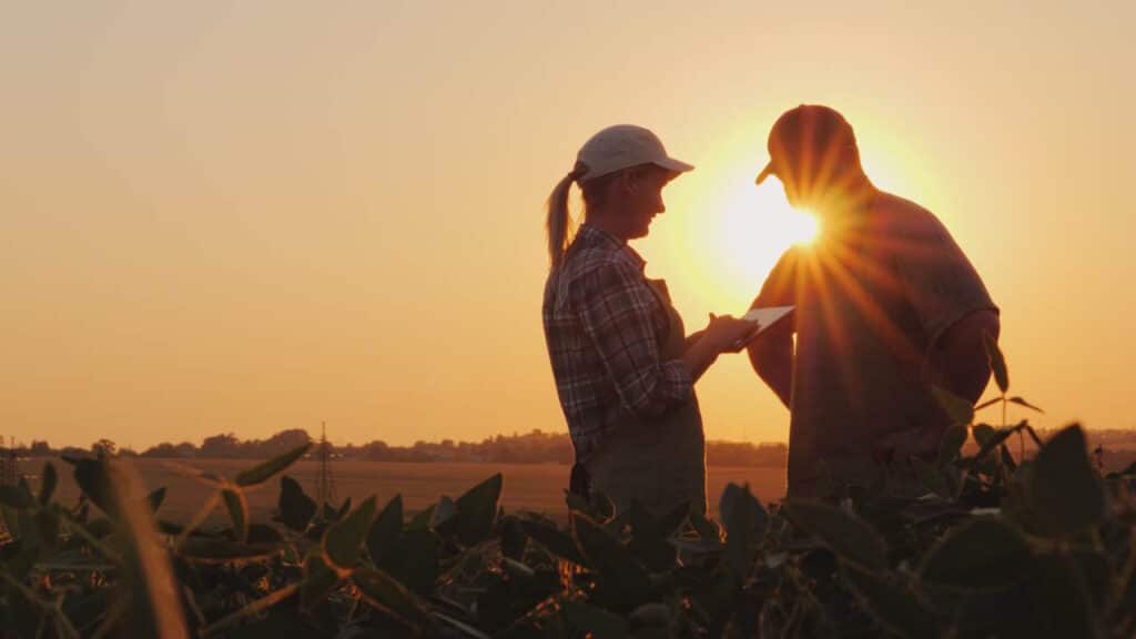 Zwei Fachkräfte aus der Landwirtschaft betrachten bei Sonnenuntergang ein Tablet auf einem Feld.