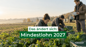 Mindestlohn 2027 in der Landwirtschaft: Kosten und Regeln für Saisonkräfte-Für Arbeitgeber